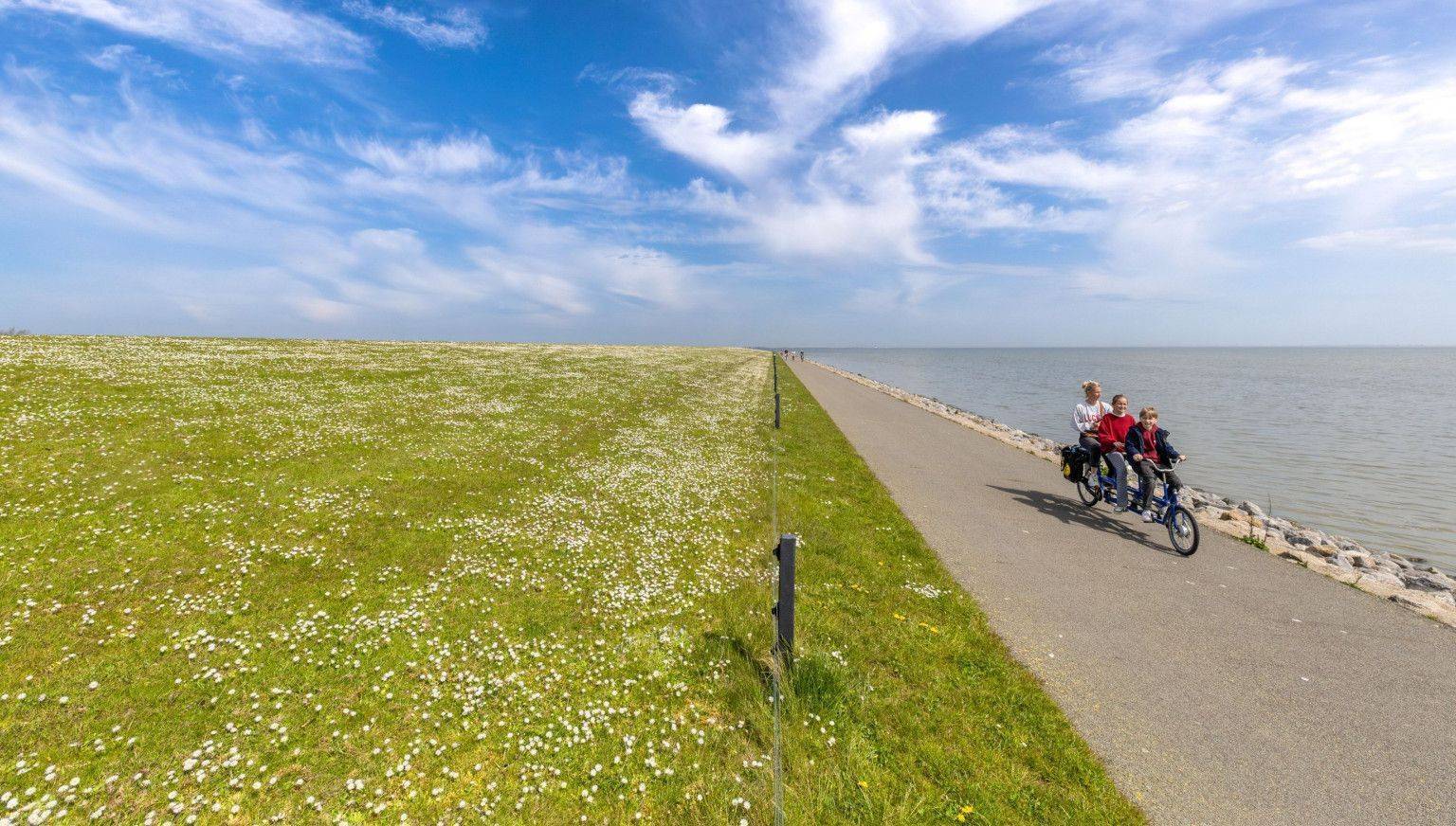 Dagje Ameland: Eilandgevoel in één dag - VVV Ameland
