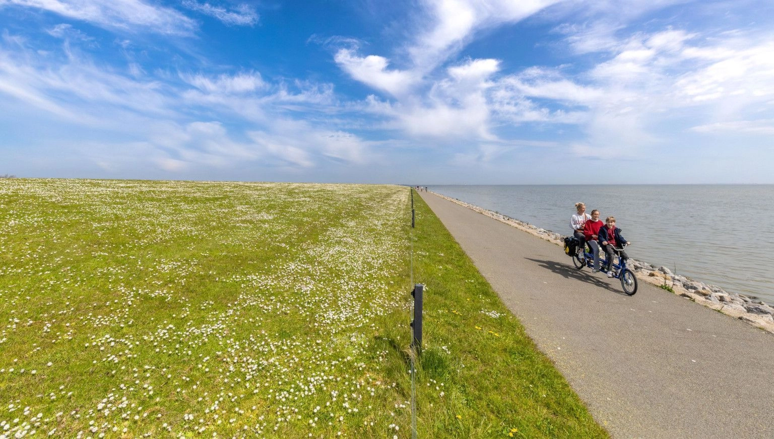 Dagje Ameland: Eilandgevoel in één dag - VVV Ameland