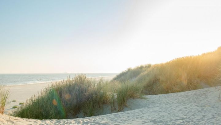 Ameland - Schiermonnikoog eiland- en waddenhoppen - VVV Ameland