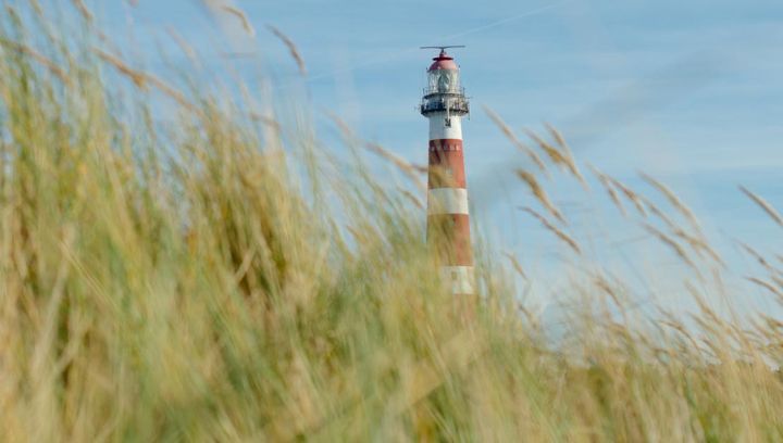 Amelands Produkt - VVV Ameland