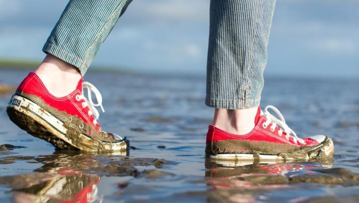 Wadexcursies - VVV Ameland