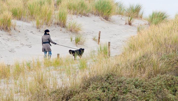 Feestdagen op Ameland - VVV Ameland