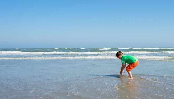 Hoog- en laagwater - VVV Ameland