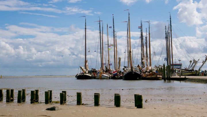 Boottochten - VVV Ameland