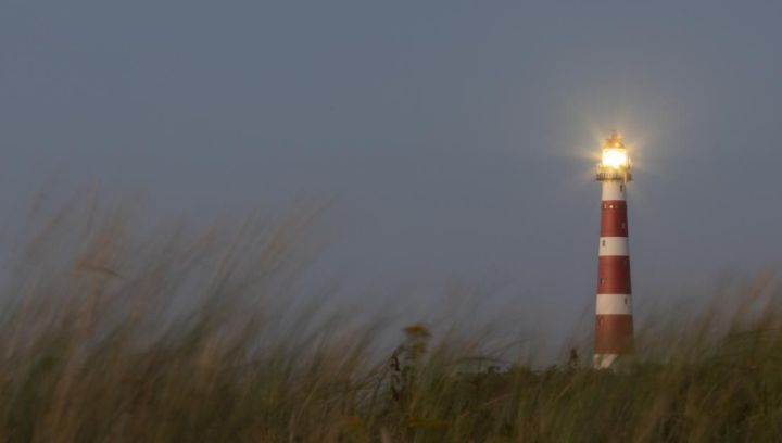 Bos-, strand- en vuurtorentocht - foto: Anja Brouwer - VVV Ameland