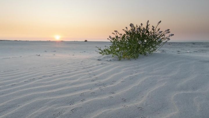 Caravans Ballum - VVV Ameland