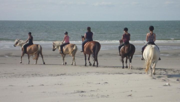 De Hollumer Trap - VVV Ameland