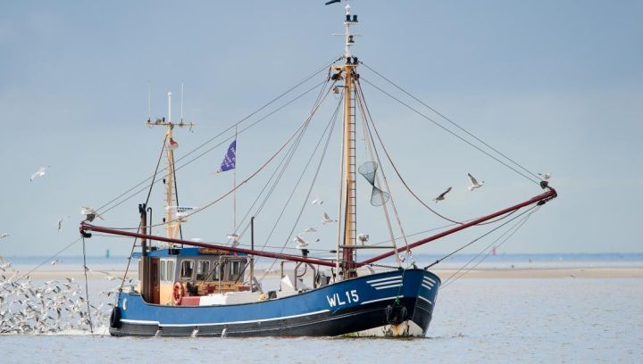 De O'slach Hollum - VVV Ameland