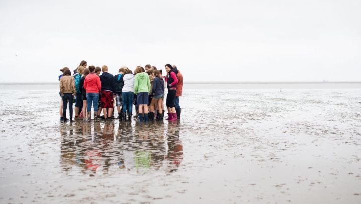 Excursies op Ameland - VVV Ameland