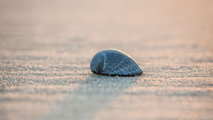 Drogisterij Parfumerie Kienstra - VVV Ameland