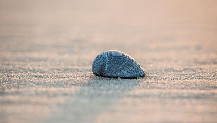 Drogisterij Parfumerie Kienstra - VVV Ameland