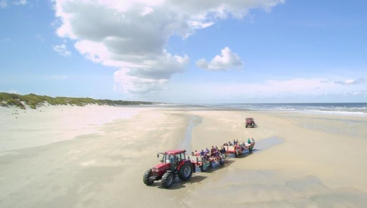 Strandritten - VVV Ameland