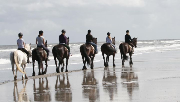 Rijstal 't Jutterspad - VVV Ameland