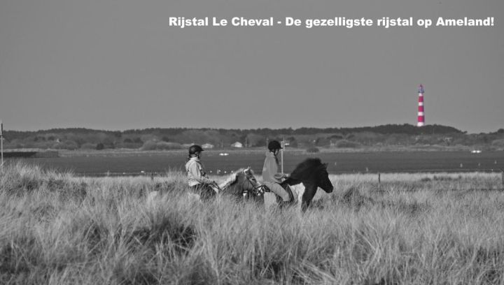 Rijstal Le Cheval - VVV Ameland