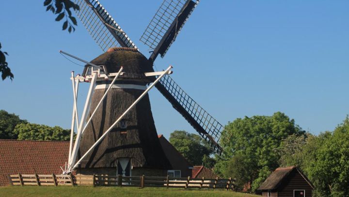 Korenmolen De Phenix - VVV Ameland