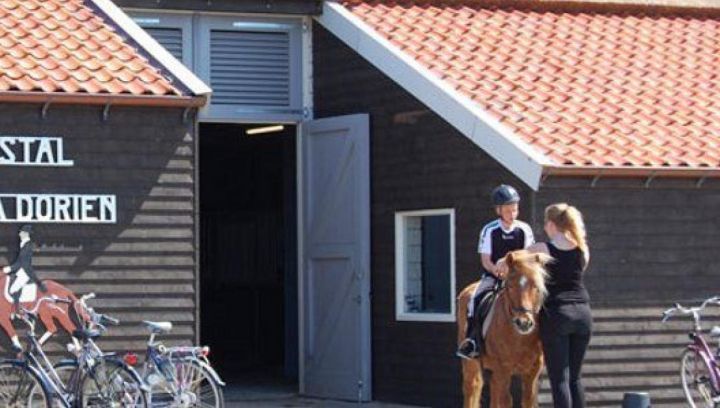 Rijstal Nella Dorien - VVV Ameland