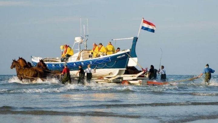 Demonstratie paardenreddingsboot - VVV Ameland