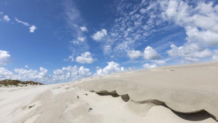 Strand- en schelpenexcursie - VVV Ameland