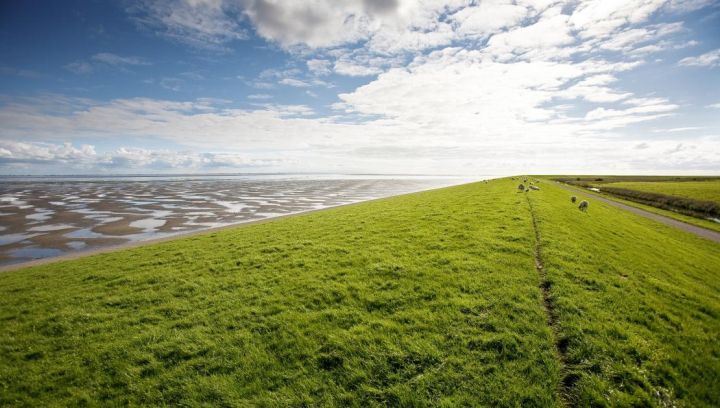 Taxivervoer - VVV Ameland