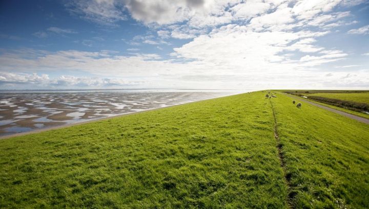 Taxivervoer - VVV Ameland