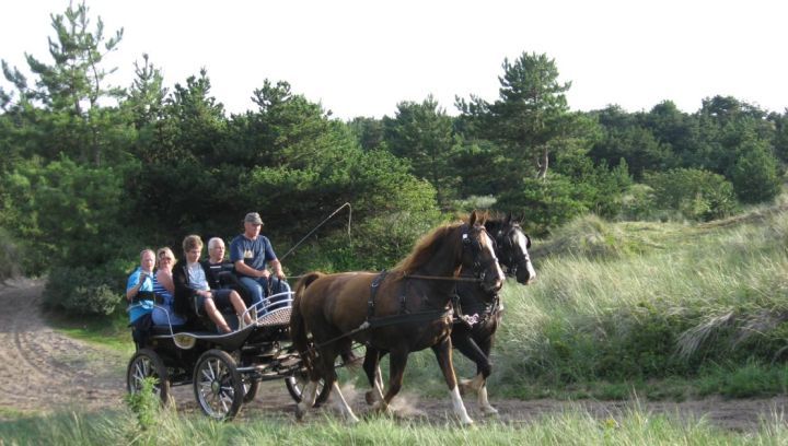 Recreatieritten familie De Boer - VVV Ameland