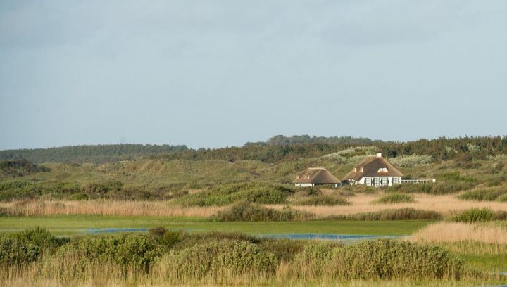 Vakantiehuizen - VVV Ameland