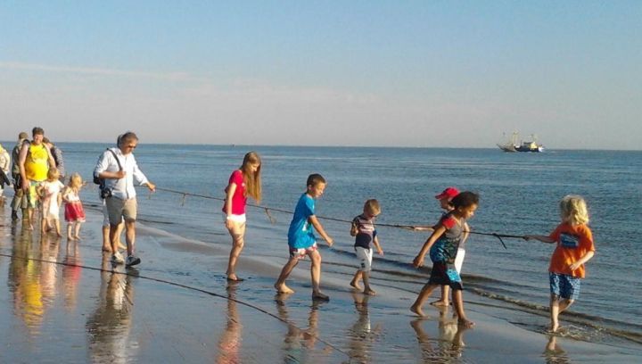 Vissen met een kornet aan het strand - VVV Ameland