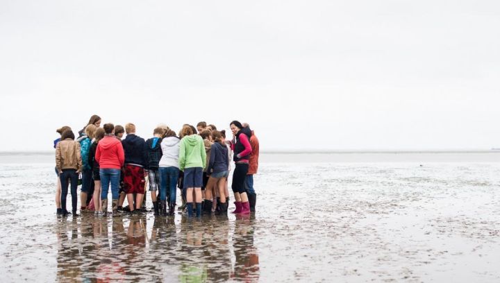 Wadexcursie - VVV Ameland