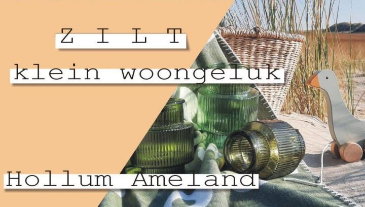 Zilt klein woongeluk - VVV Ameland