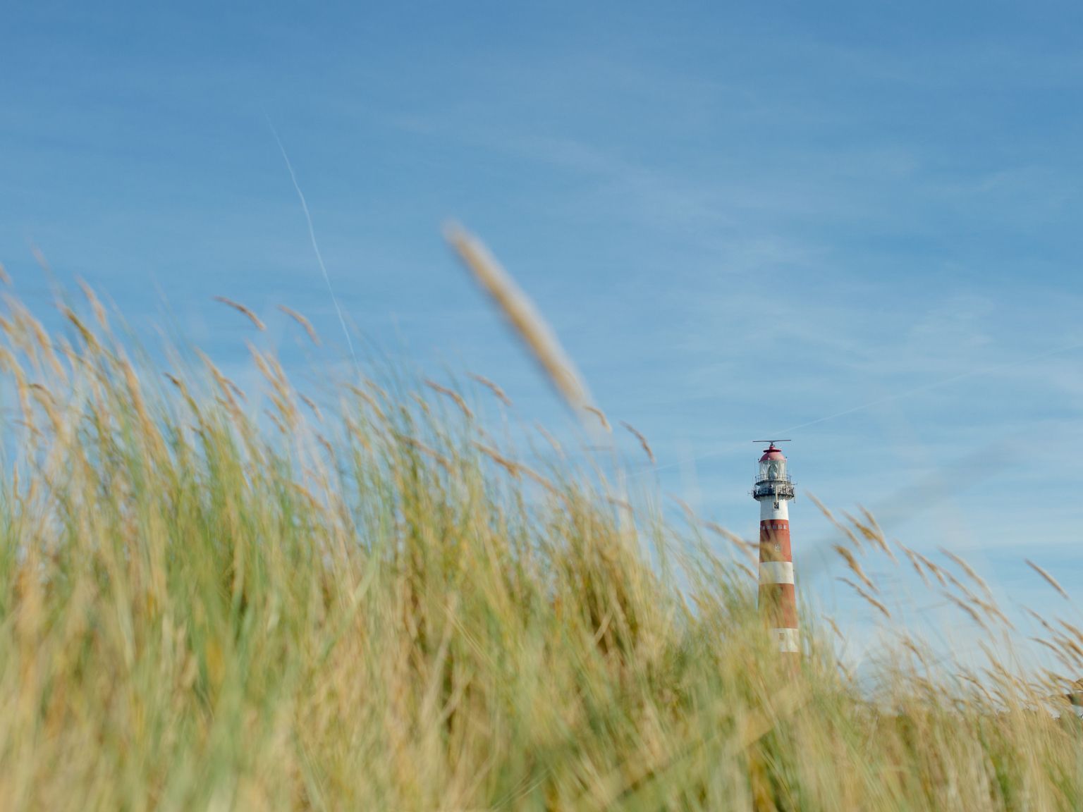 Dagarrangement inclusief huurfiets - VVV Ameland.