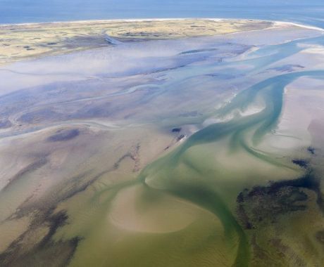 Film 'WAD, overleven op de grens van water en land' op Ameland - Ruben Smit Productions