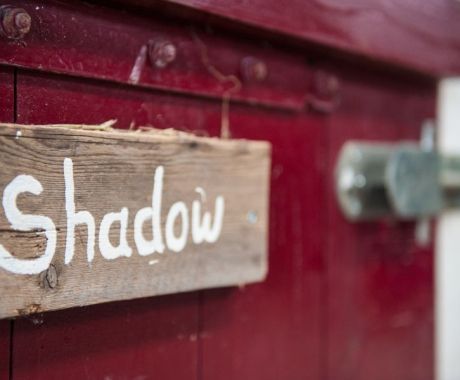 Film Penny's Shadow