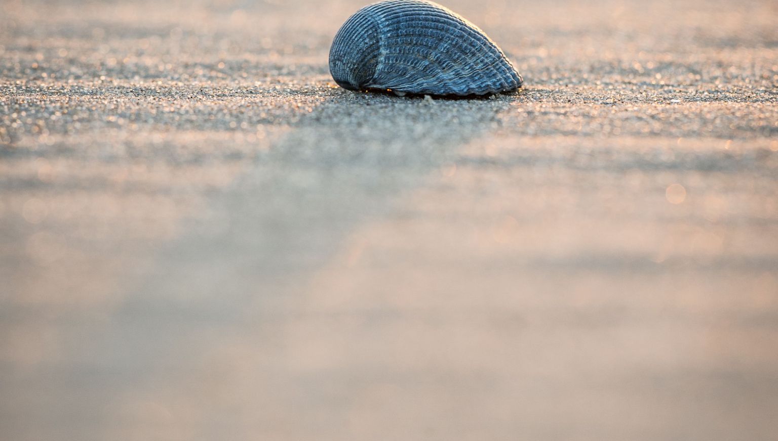 De Wadden Ameland - verhuur & beheer - VVV Ameland