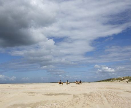 Spreekbeurtpakket Ameland - De paardenreddingboot gaat wel eens uit.