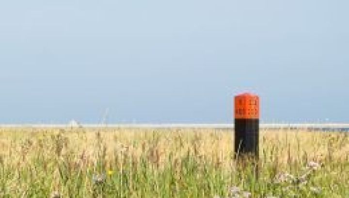 Groene strand op Ameland