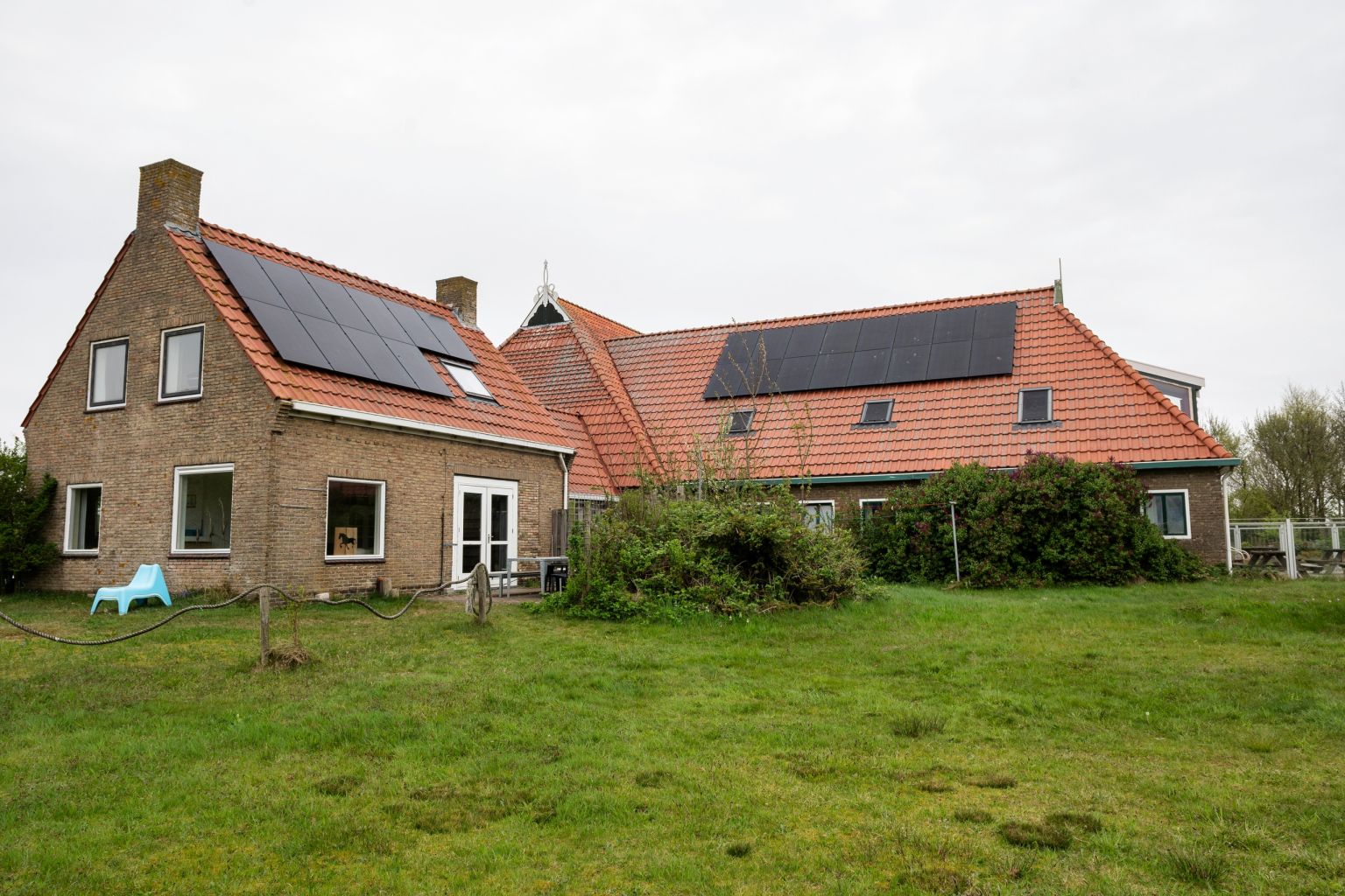 Kobbedunen