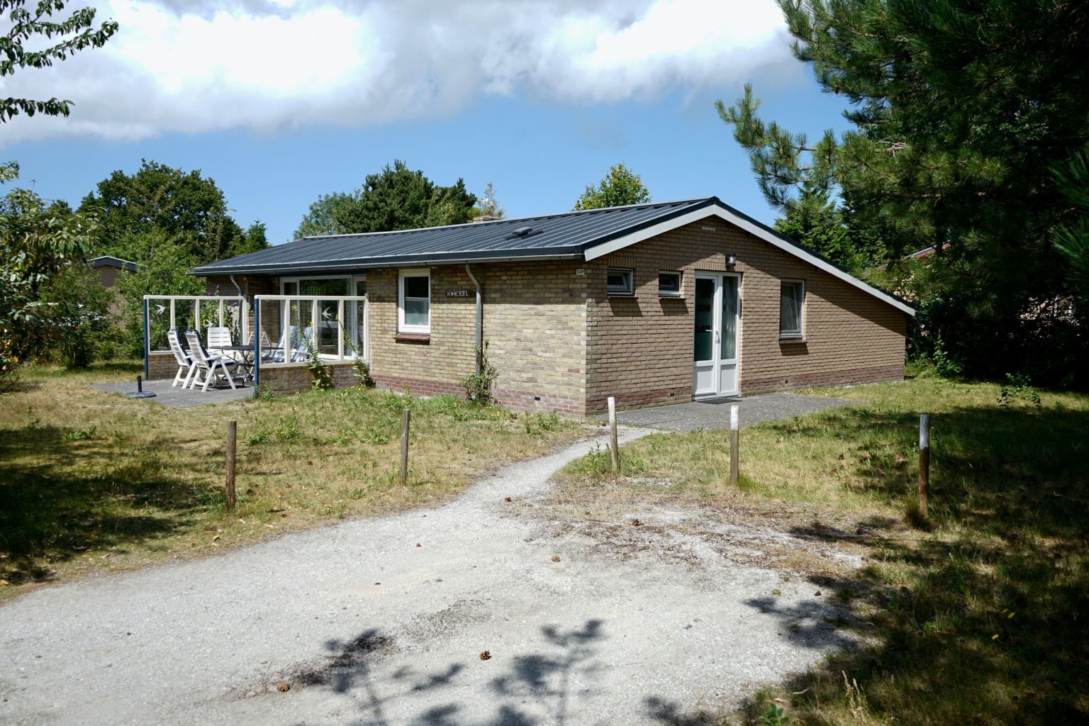Kokkel