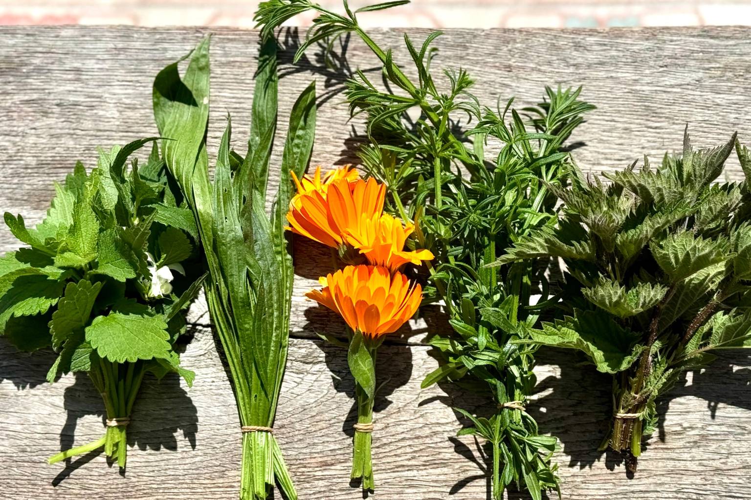 Amelander Flower Power zalf maken