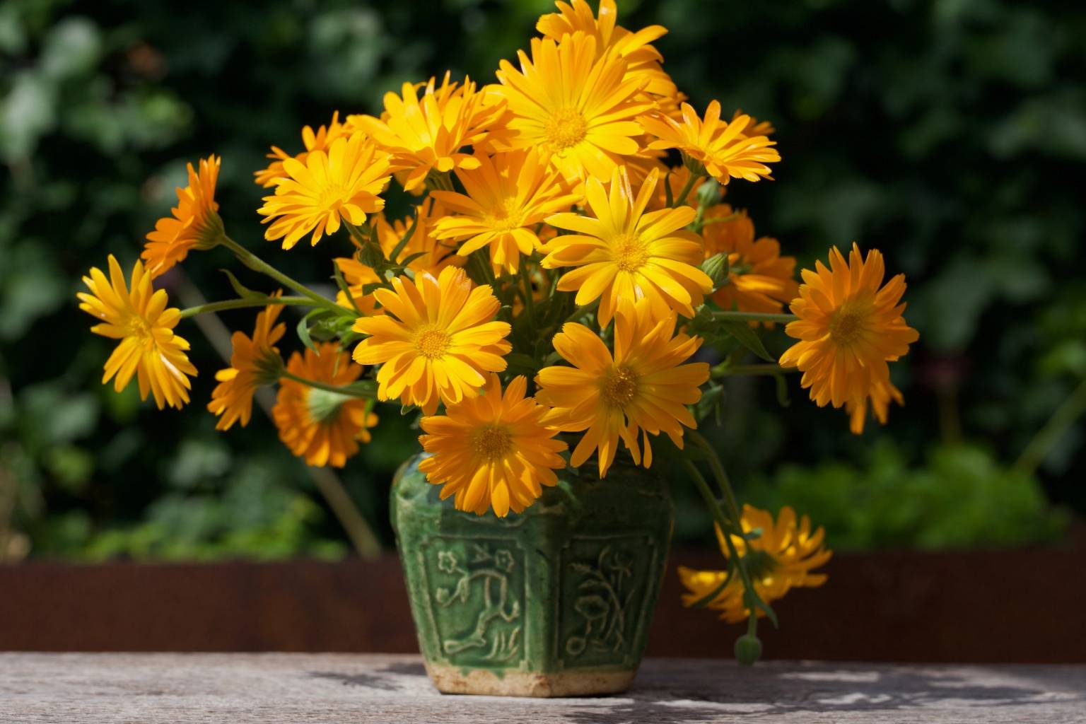 Amelander Flower Power zalf maken