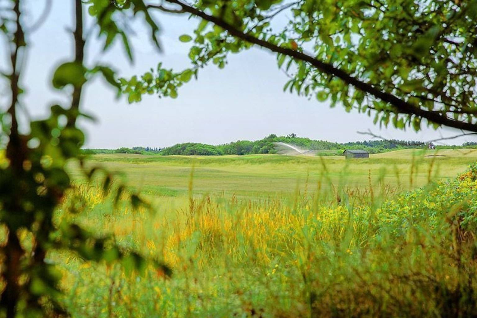 Parc Koudenburg