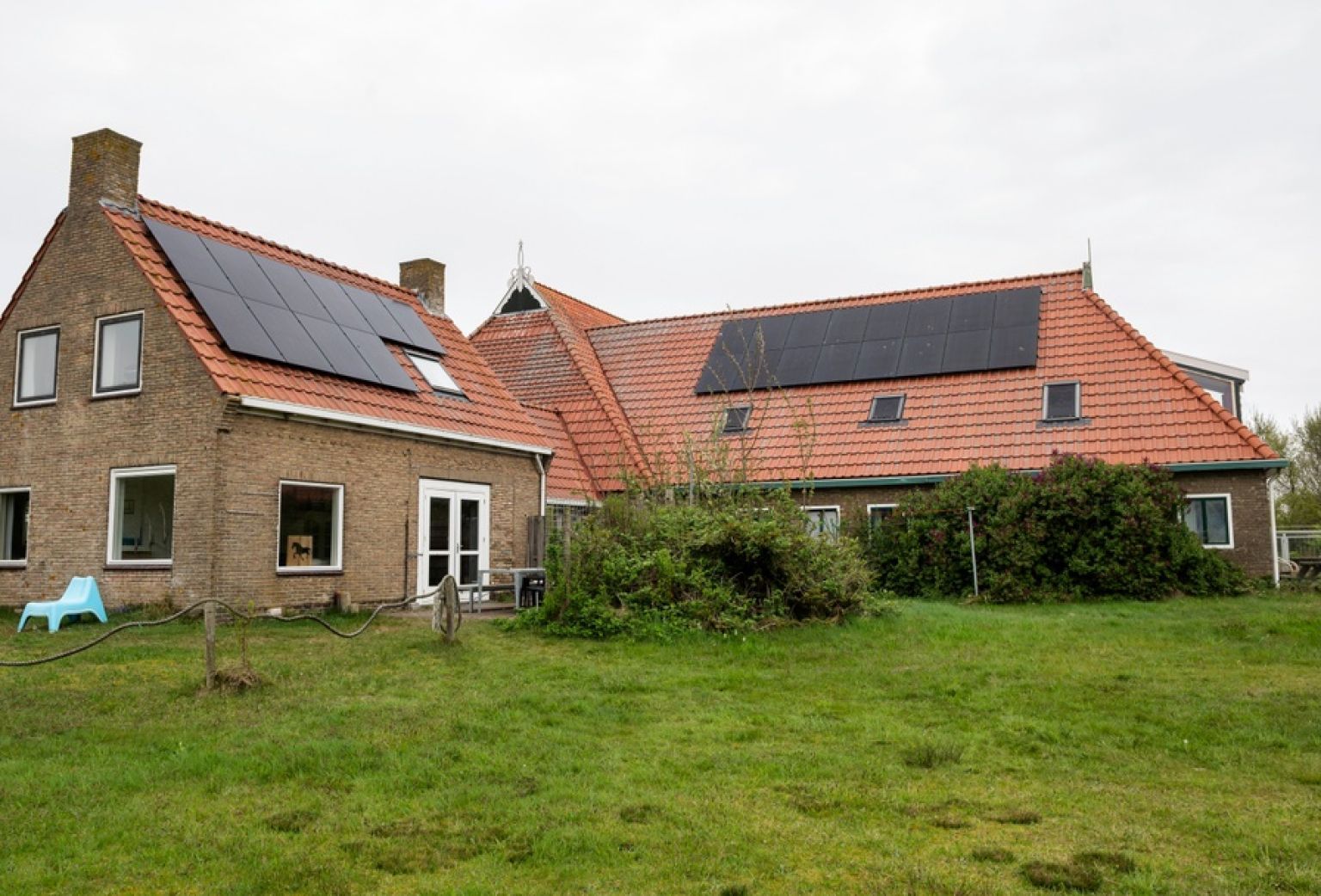 Kobbedunen