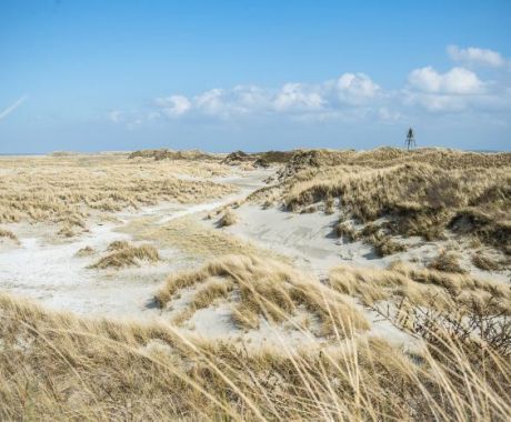 Natuur - VVV Ameland