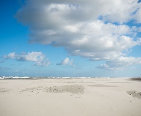 Natuur - VVV Ameland