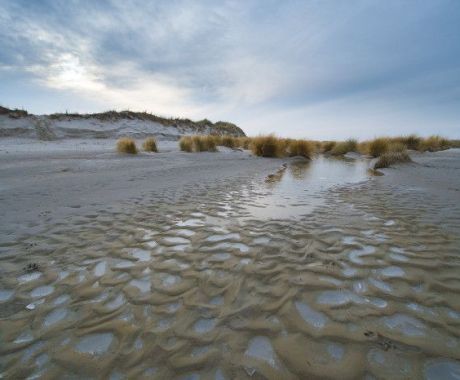 Natuur - VVV Ameland