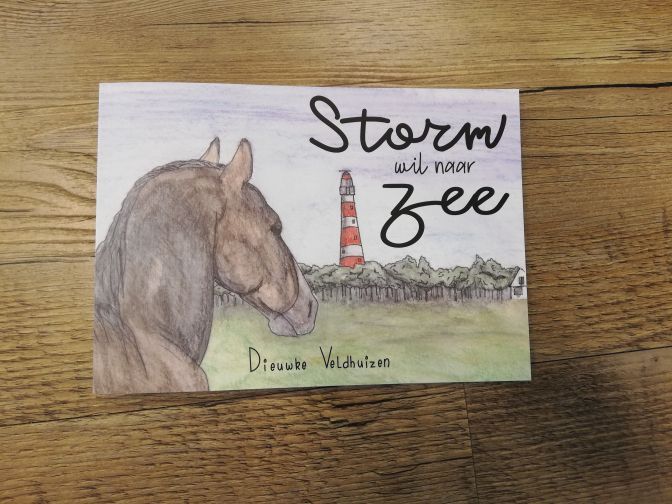 Storm wil naar Zee - webshop VVV Ameland