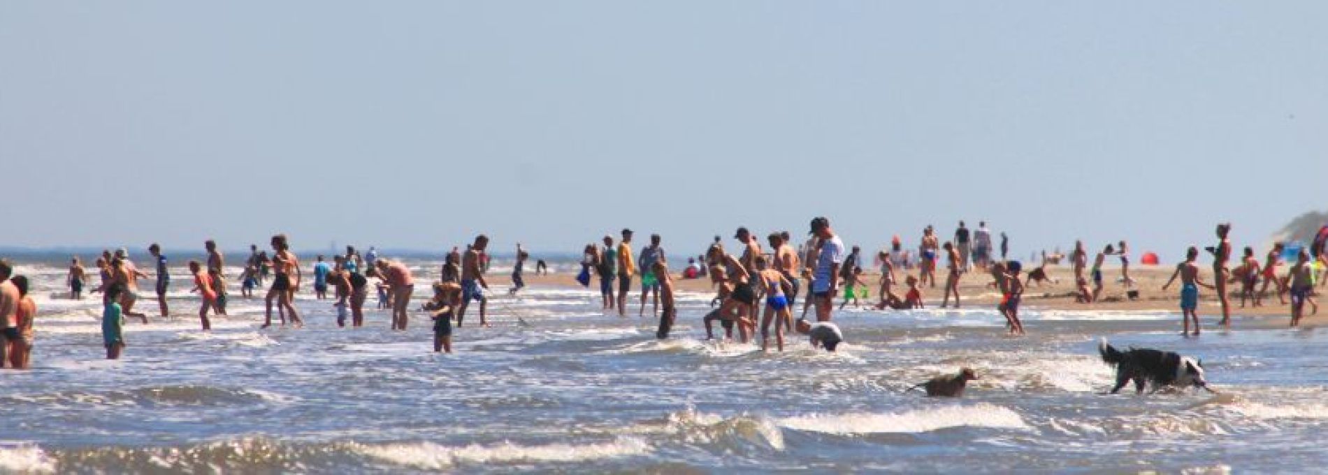 Veelgestelde vragen over het strand van Ameland - VVV Ameland