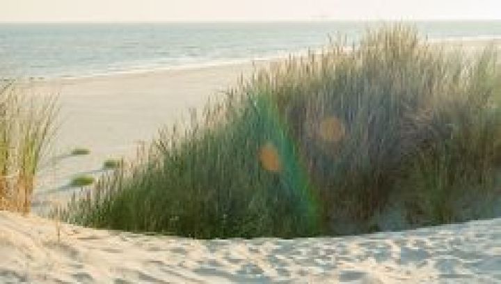 Veelgestelde vragen over het strand van Ameland - VVV Ameland