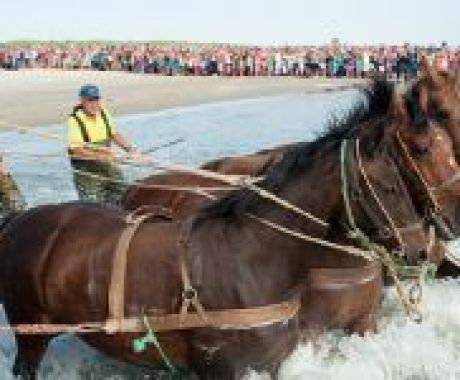 Demonstratie paardenreddingsboot