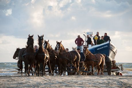 Ameland = Paardenreddingboot demonstratie
