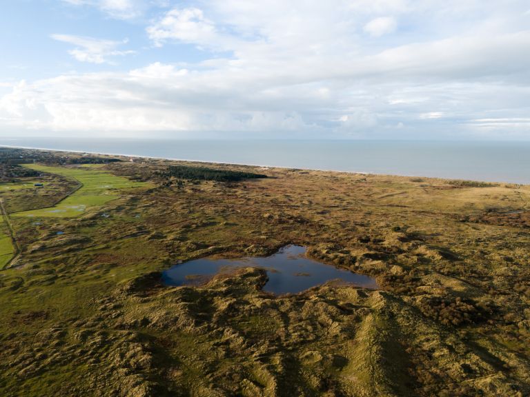 alex_kooistra_kooikersdunen_dji_20231105154016_0037_d.jpg
